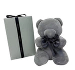Bear Hug Surprise: Huggable Bear Gift in a Box Super Soft - Babu