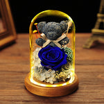 Immortal Moss Bear Gift with Dried Flower Rose Glass Cover